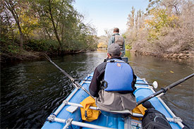 redd survey raft river
