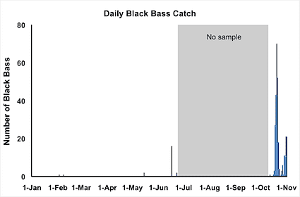 daily-catch