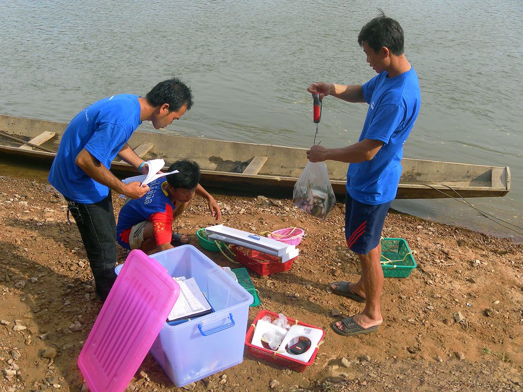 laos fish sampling