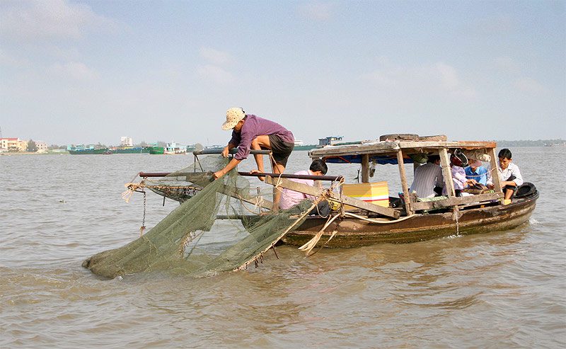 Small-scale trawl