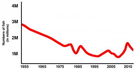 Graph of Red Snapper fall and rise