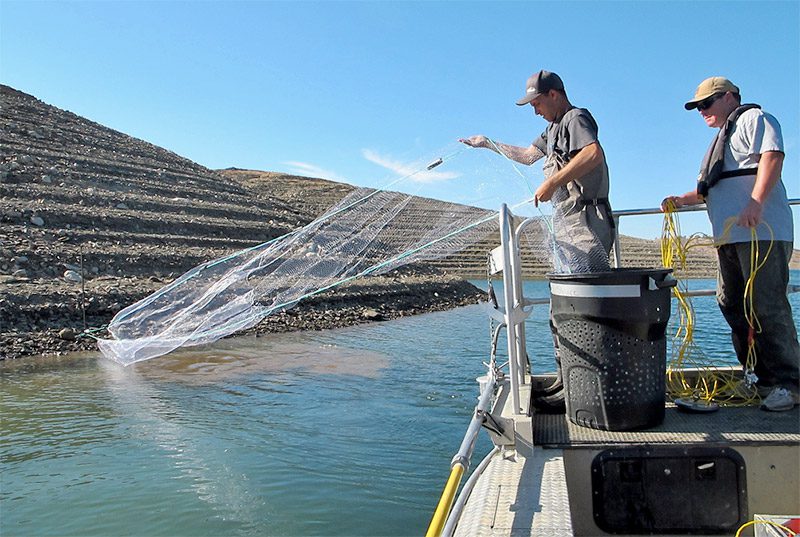 Lake sampling: Using gillnets to go deep