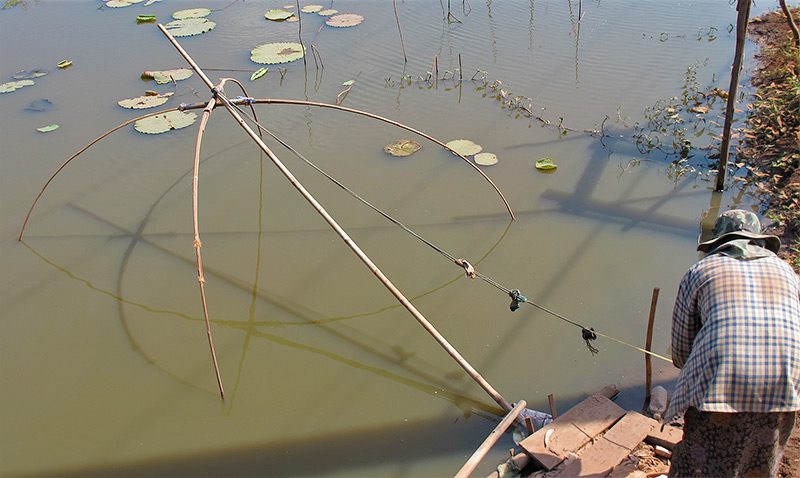 Lift Net Fishing, FISHBIO
