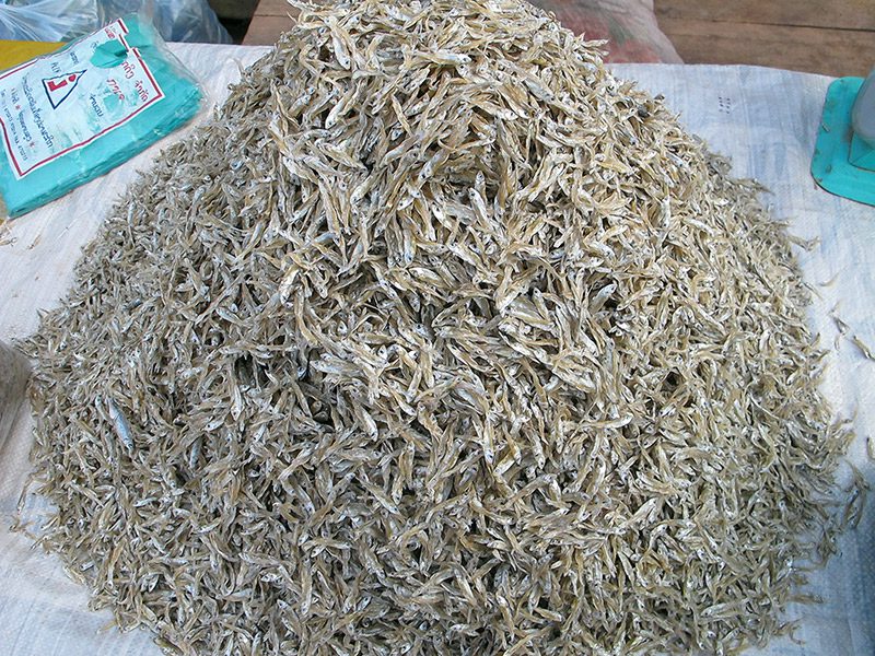 Pile of fish for sale in Laos