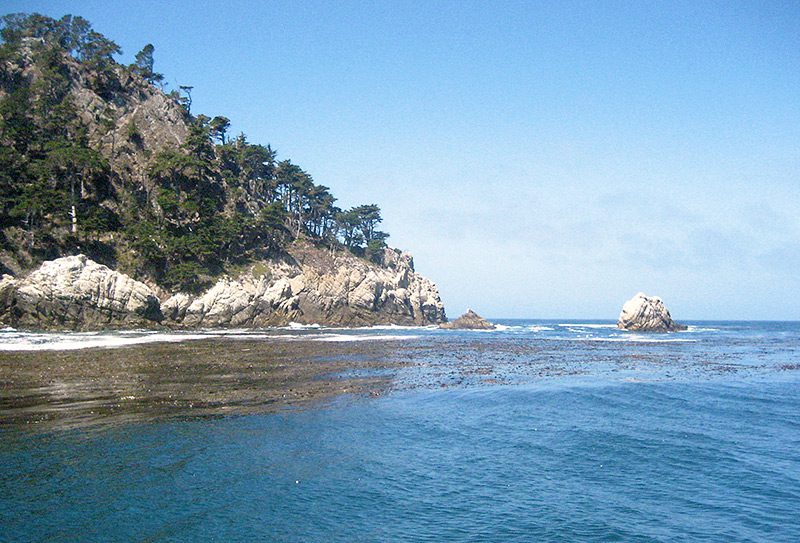 Point Lobos State Marine Reserve