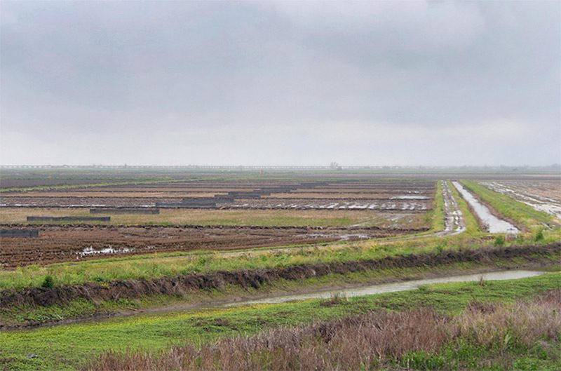 Nigiri Project on the Yolo Bypass