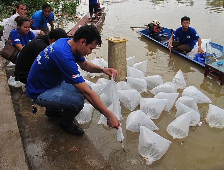 Fish Releasing Day in Lao PDR