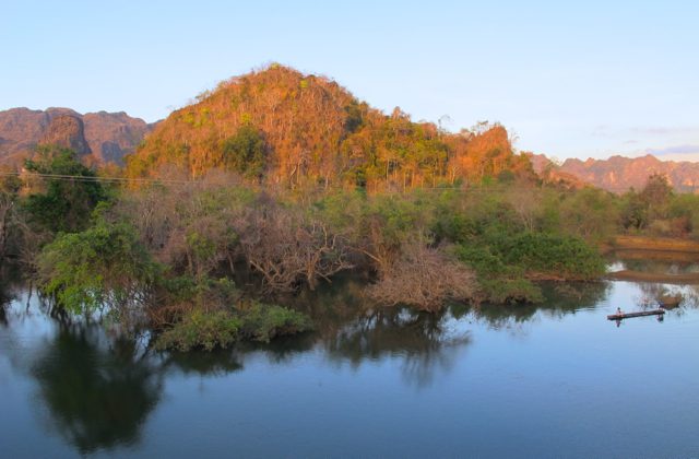 Mekong flooded forest