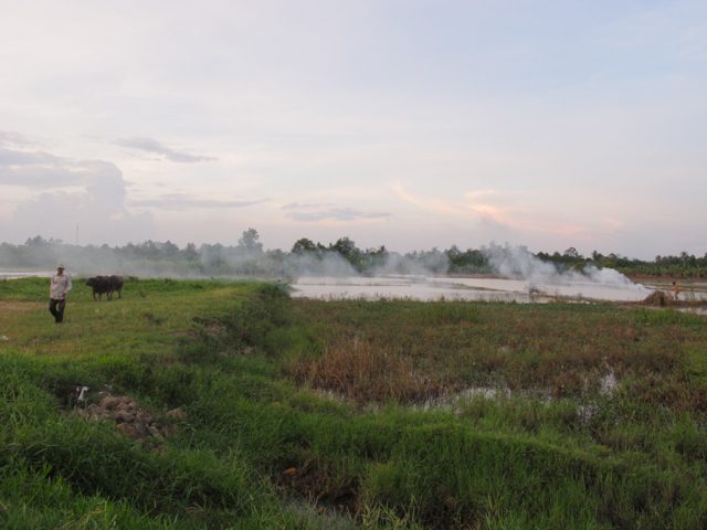 Mekong Delta in Can Tho, Vietnam