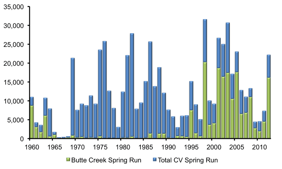 Spring run graph