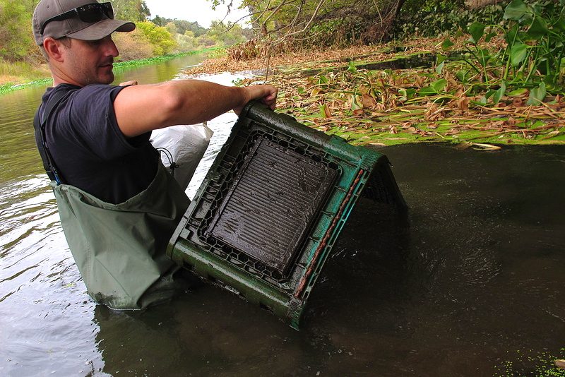 River cleanup