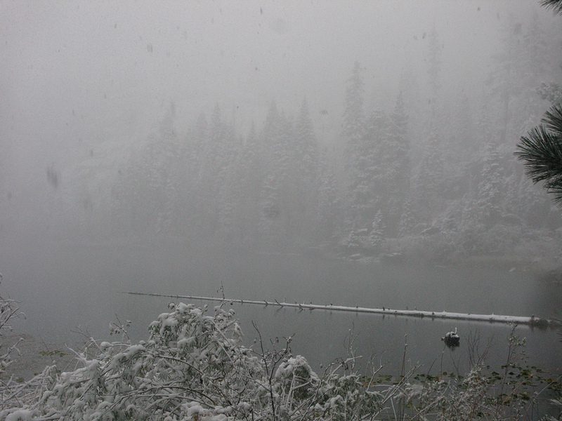 Lake Ward during snow
