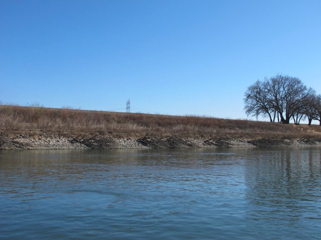 Sacramento River levee