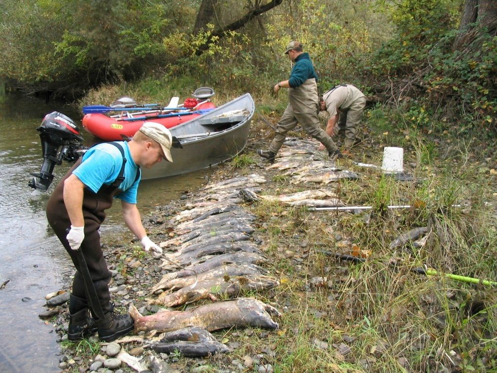 A Brief History of Fishing - Images