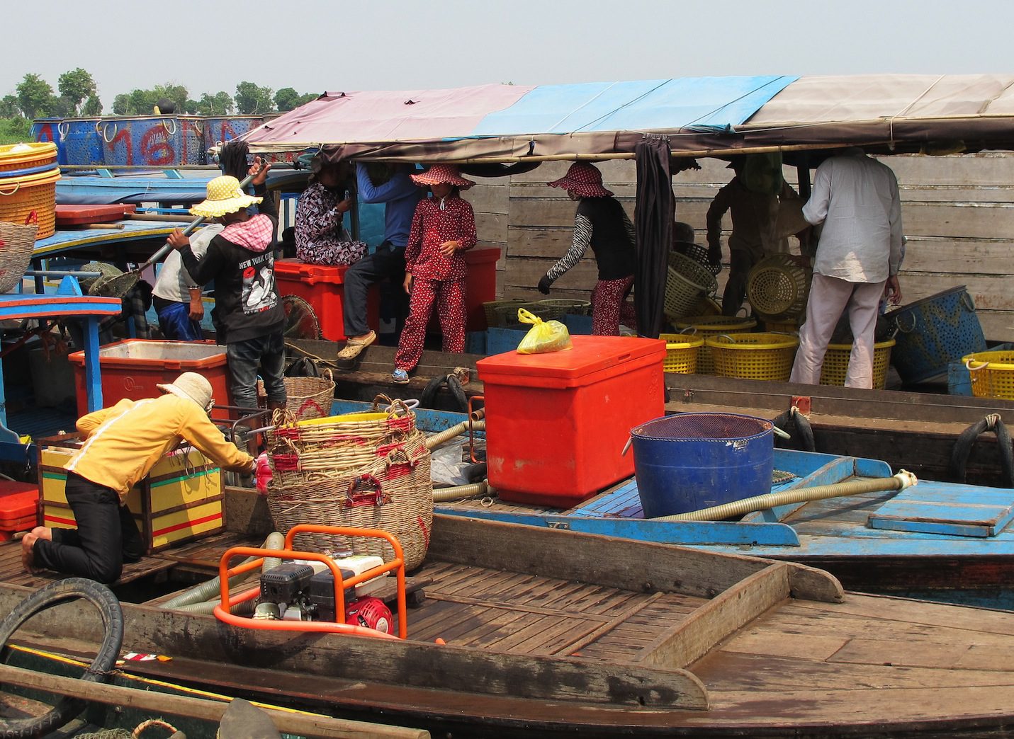 Mekong Seafood Market