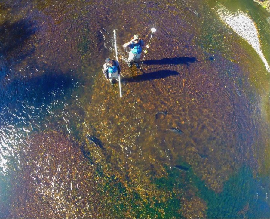 Field survey crew from above
