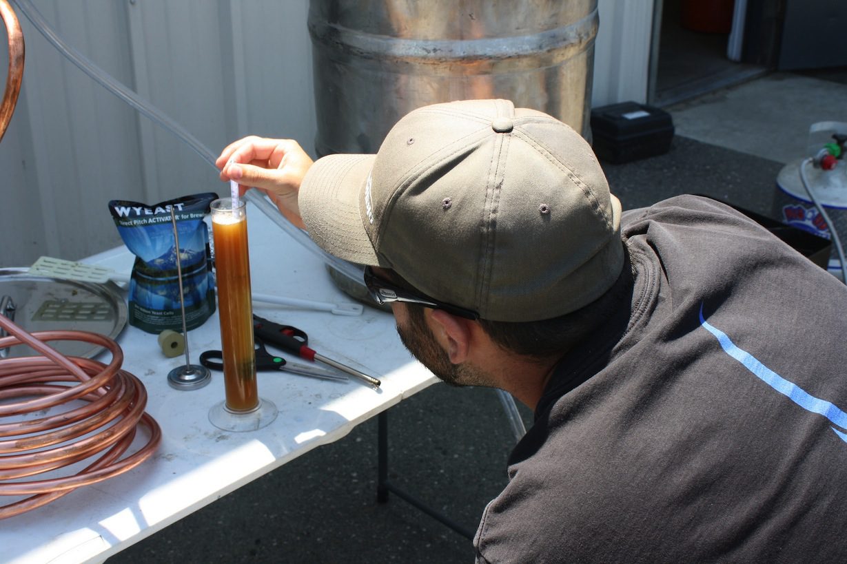Checking the wort