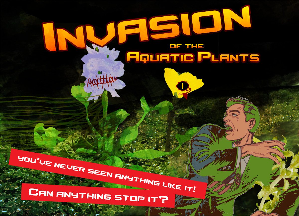 Invasion of the Aquatic Plants