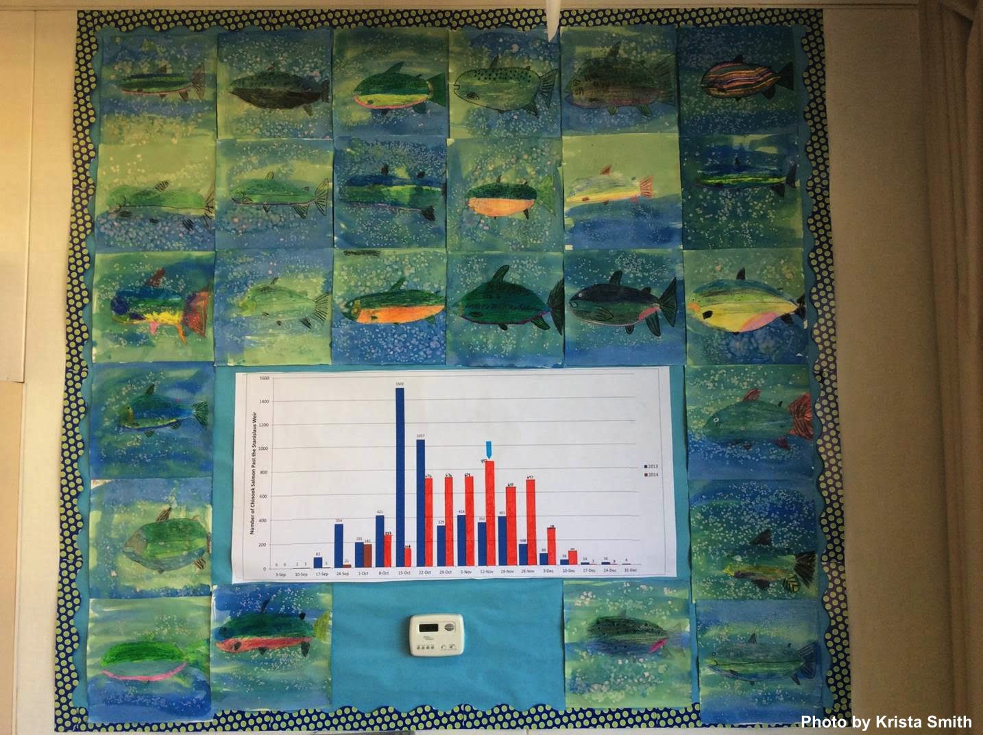 Salmon graph in the classroom