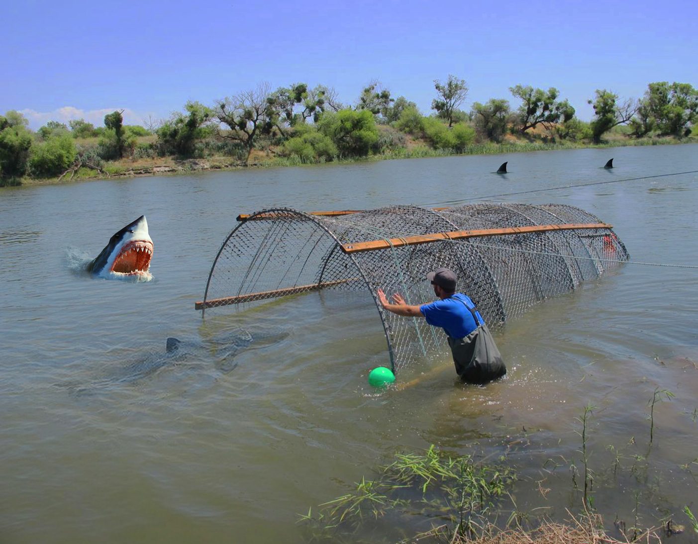 Freshwater shark cage