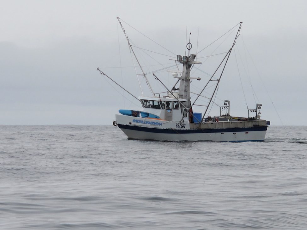 Commercial salmon fishing boat
