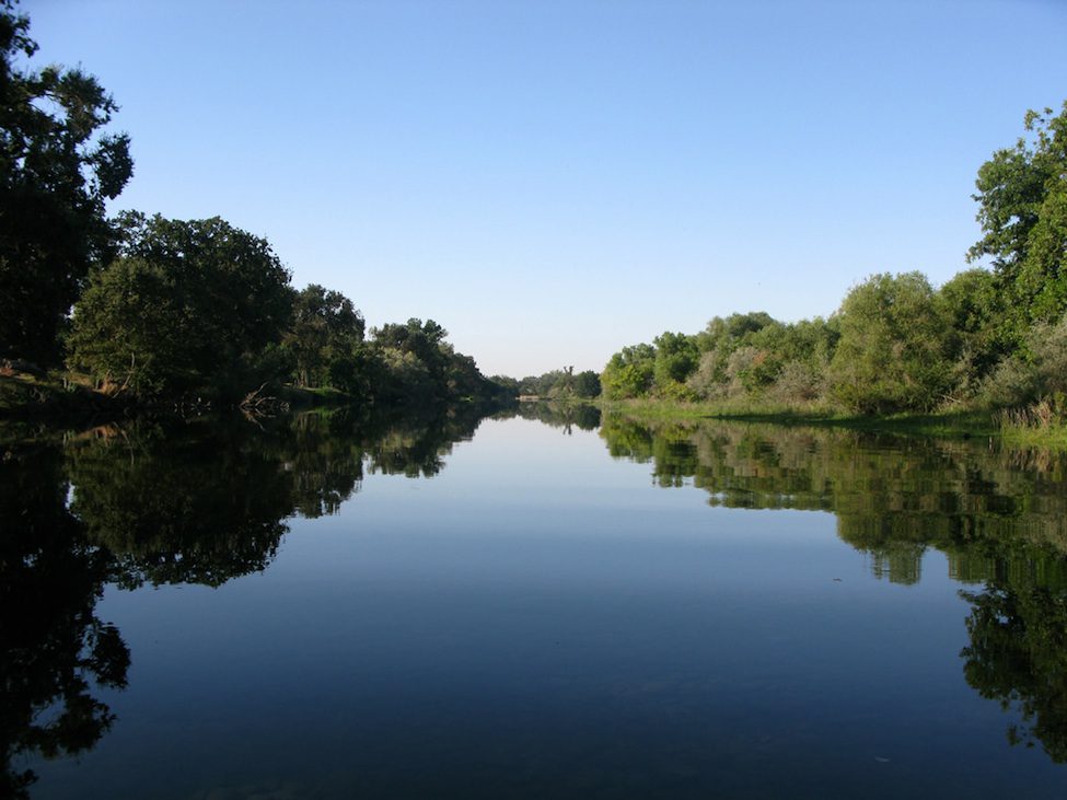 Tuolumne River Reflection