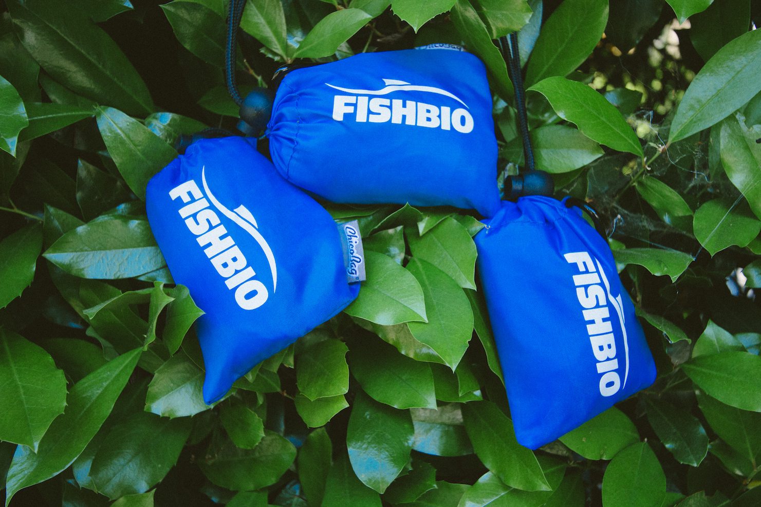 FISHBIO Chico bag