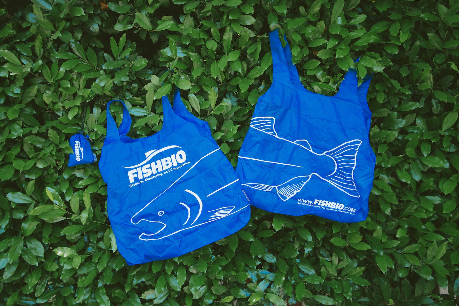 FISHBIO bag salmon design