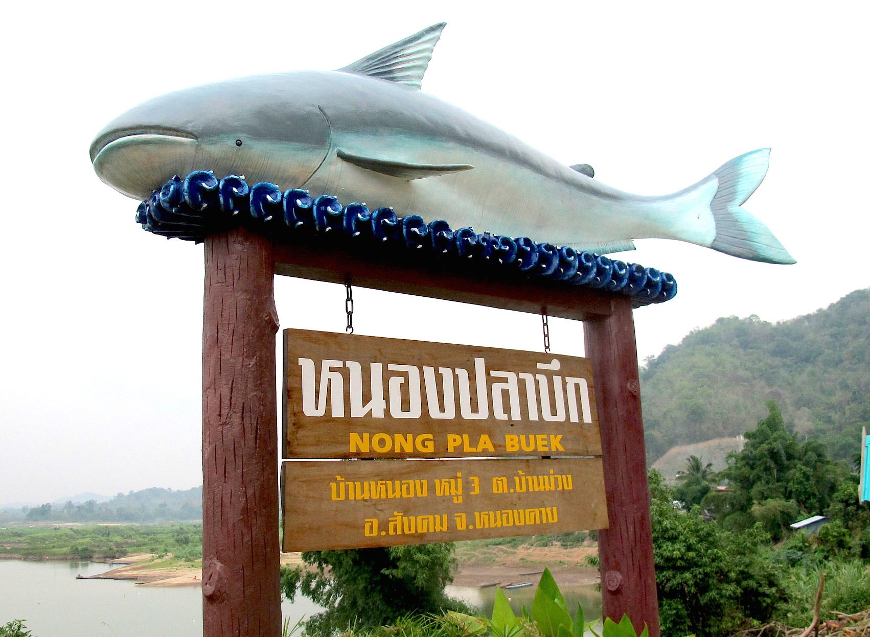 Mekong Catfish Signage