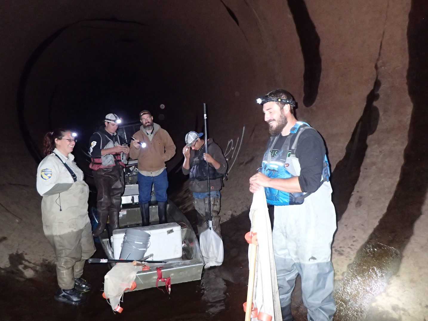 Team working on a tunnel fish rescue