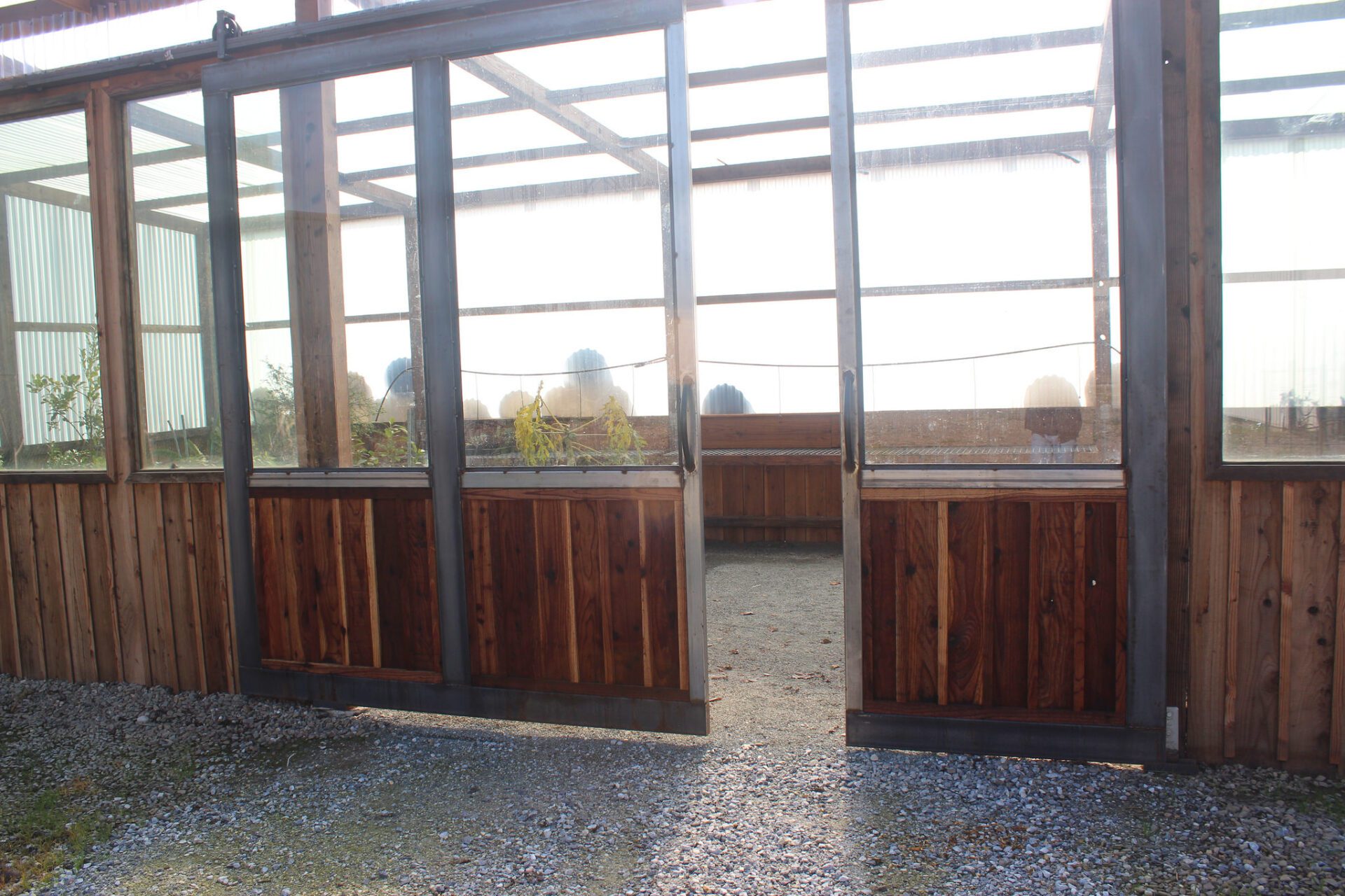 Open greenhouse doors