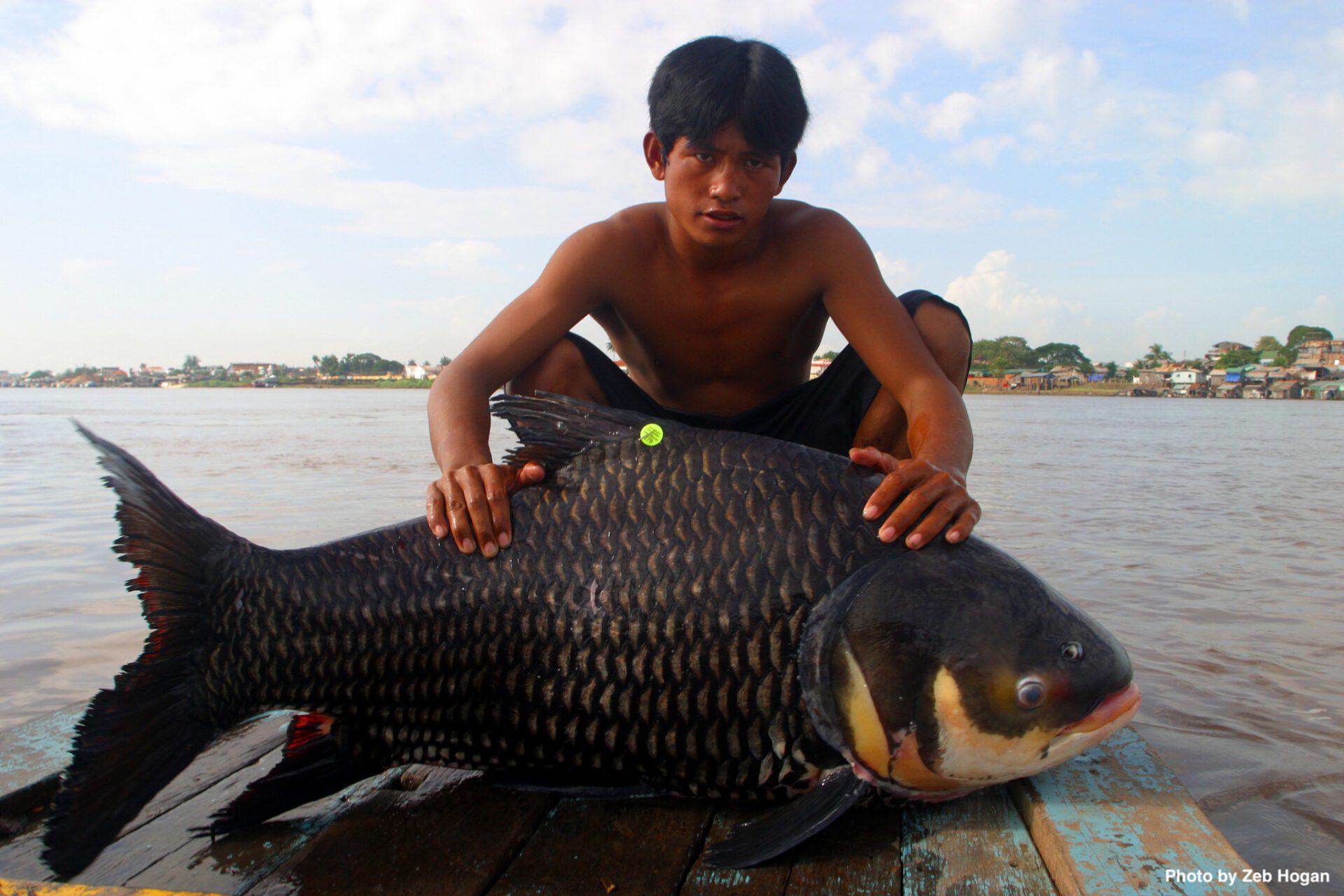 Cambodian Fisherman with Giant Barb