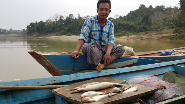 Fisherman with his daily fish catch from a gillnet on the Chindwin River
