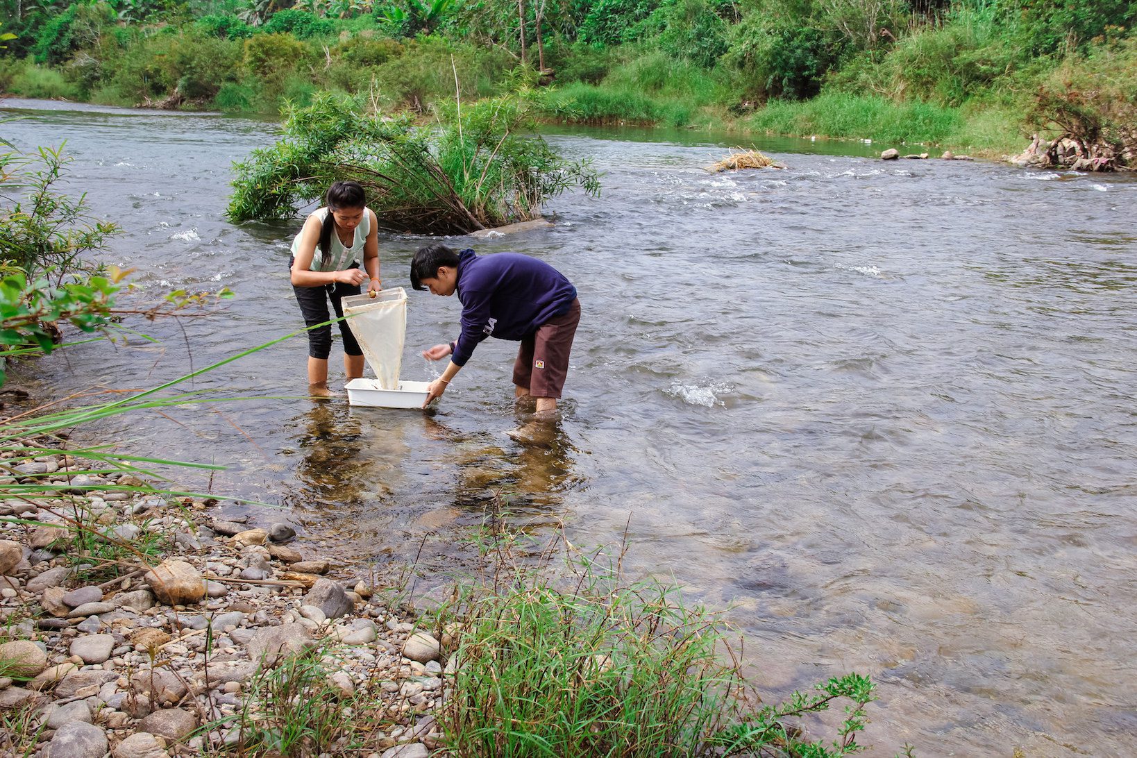 Volunteers collecting macroinvertebrates in Laos