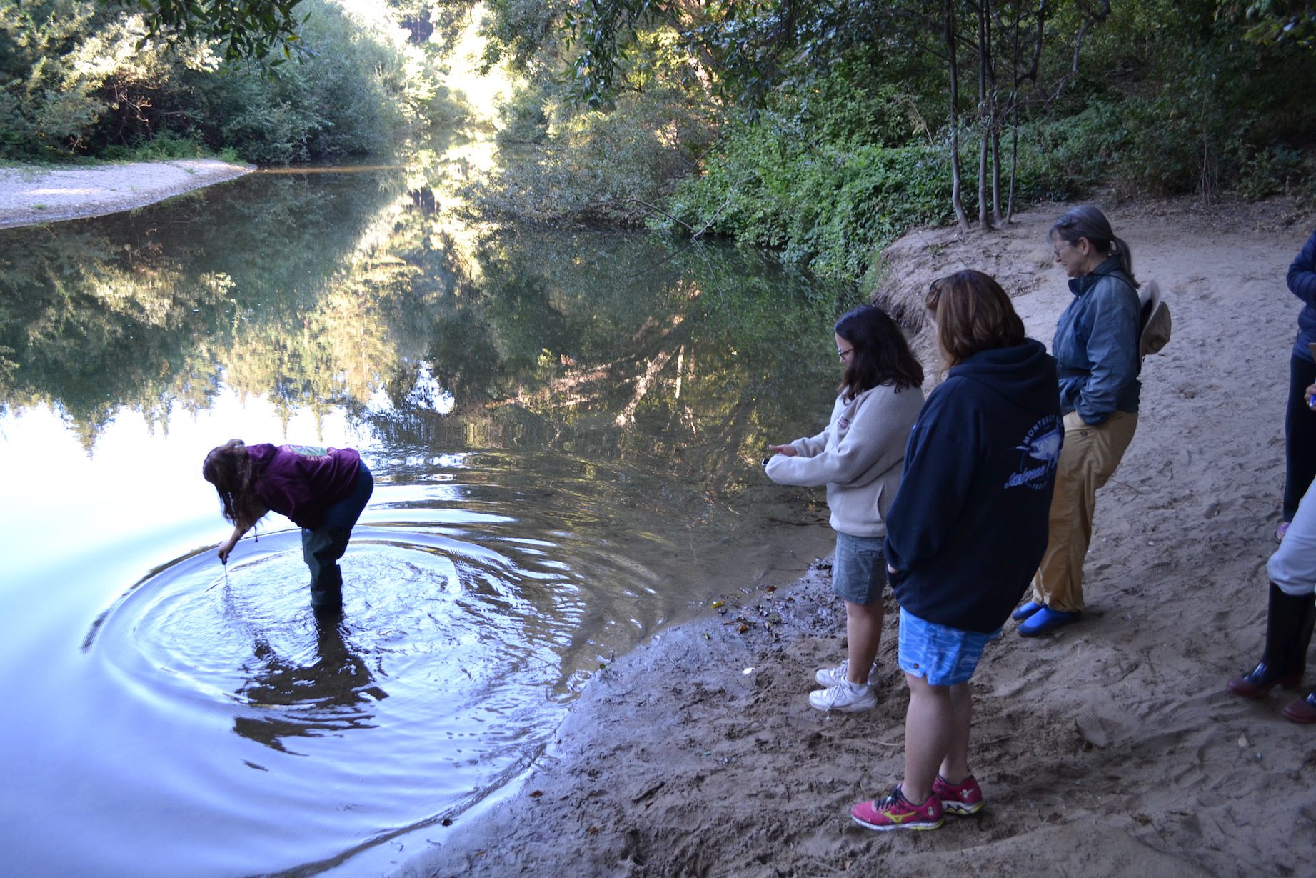 Teachers monitoring water quality STEP training