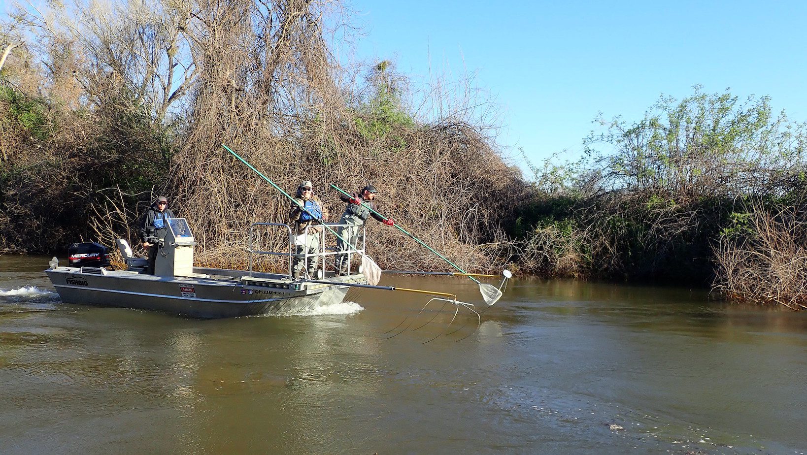 Does Hand-Crank Electrofishing Help Battle Invasive Catfish