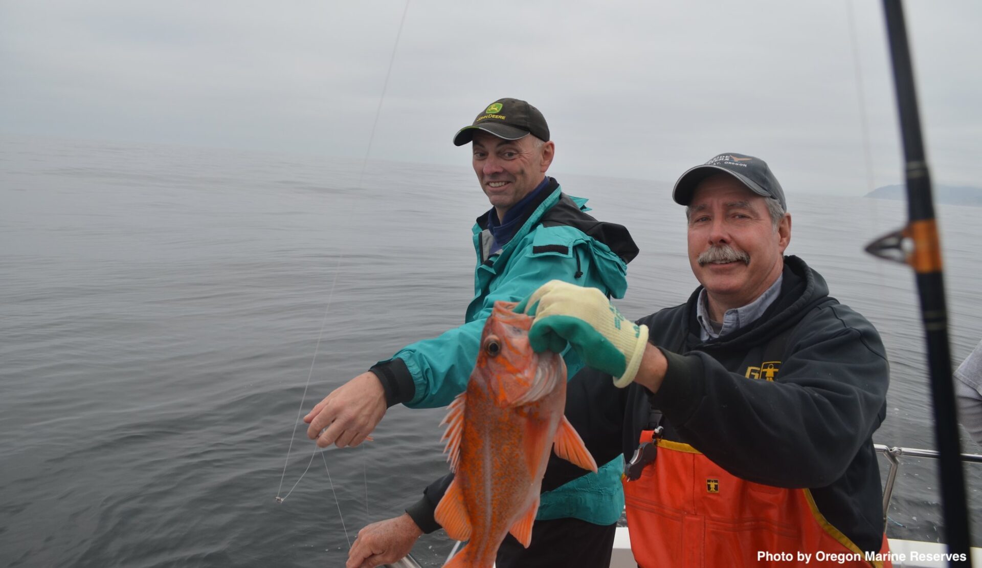 Lydighed Offentliggørelse snorkel The Fall and Rise of the West Coast Groundfish Fishery - FISHBIO |  Fisheries Consultants