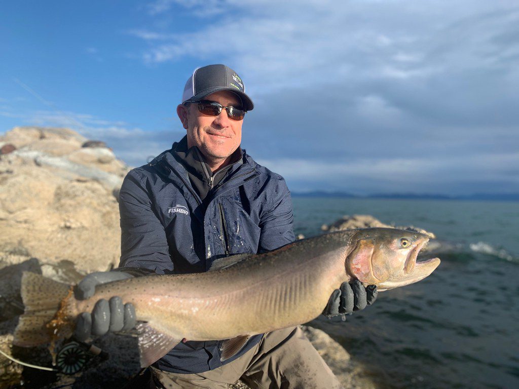 lahontan cutthroat trout