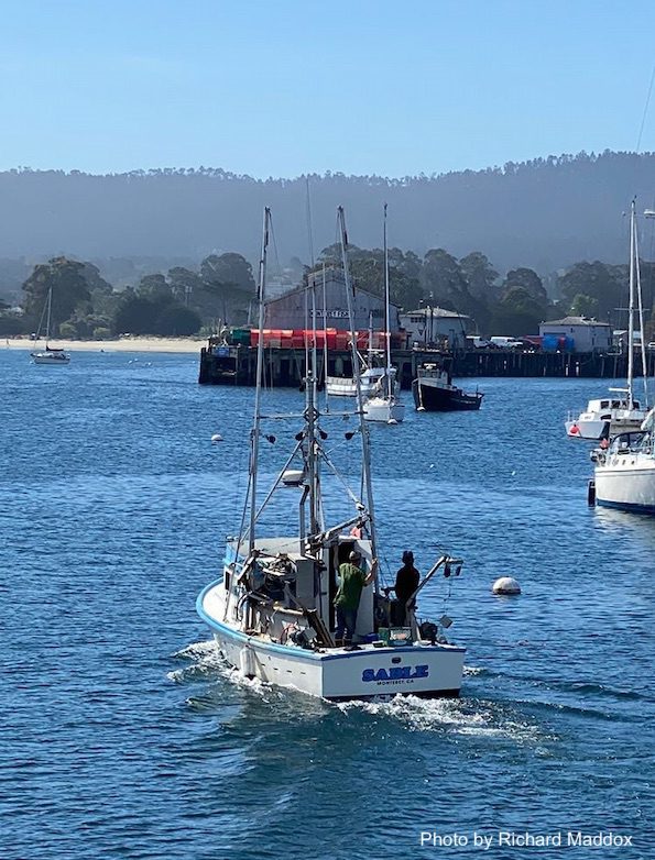 Landmark prohibition imposed after B.C. men caught crab fishing in US  waters - Ladysmith Chemainus Chronicle