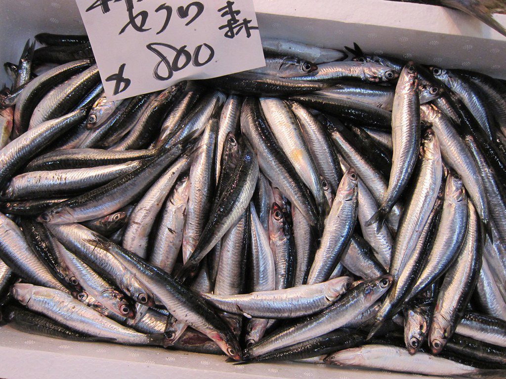 Tsukiji Fish Marker