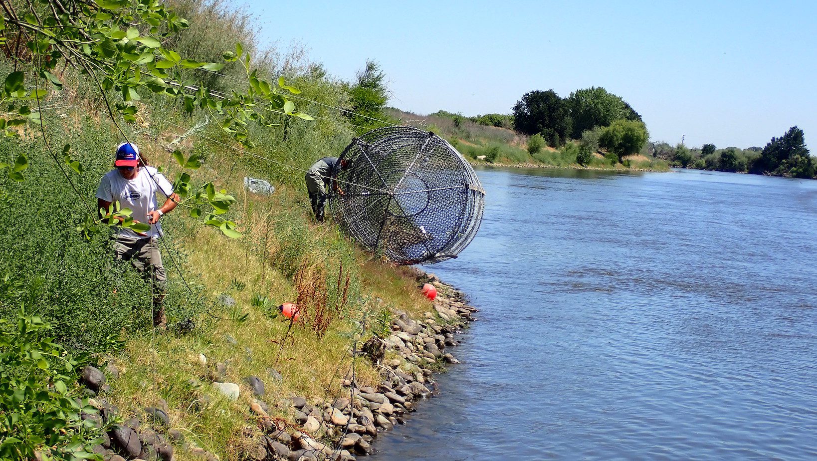 Catfish Trap, Fish and Turtle Traps