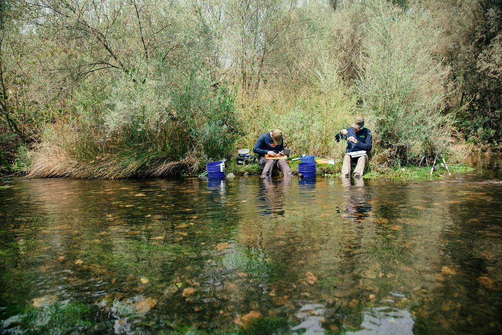 Streamside Sampling