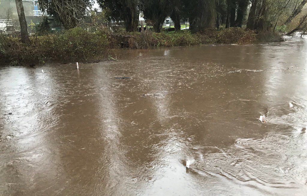 Carmel Weir Underwater