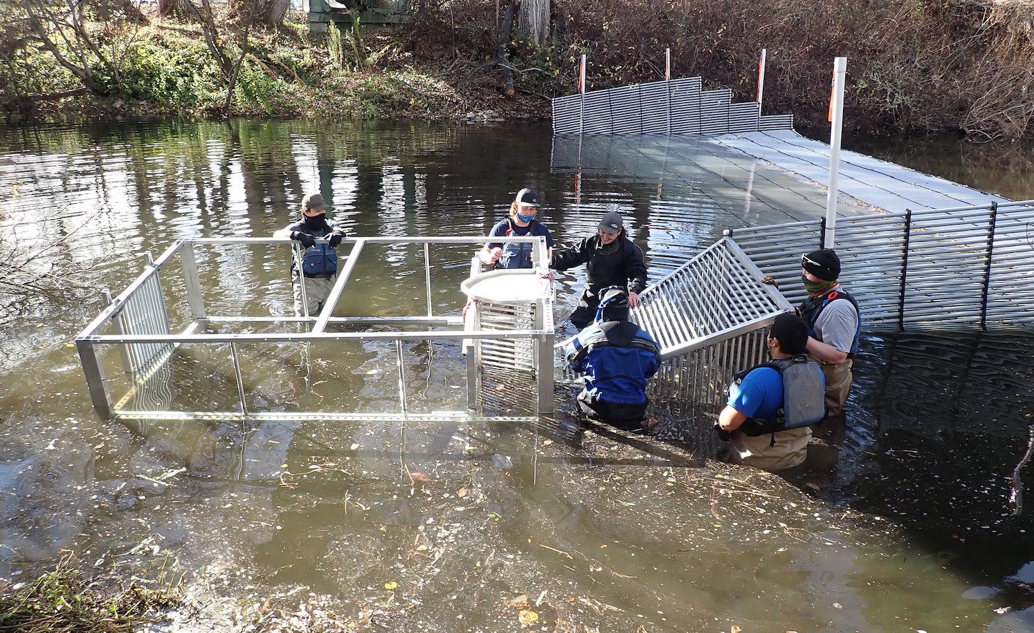 Fish trap on Carmel River Weir