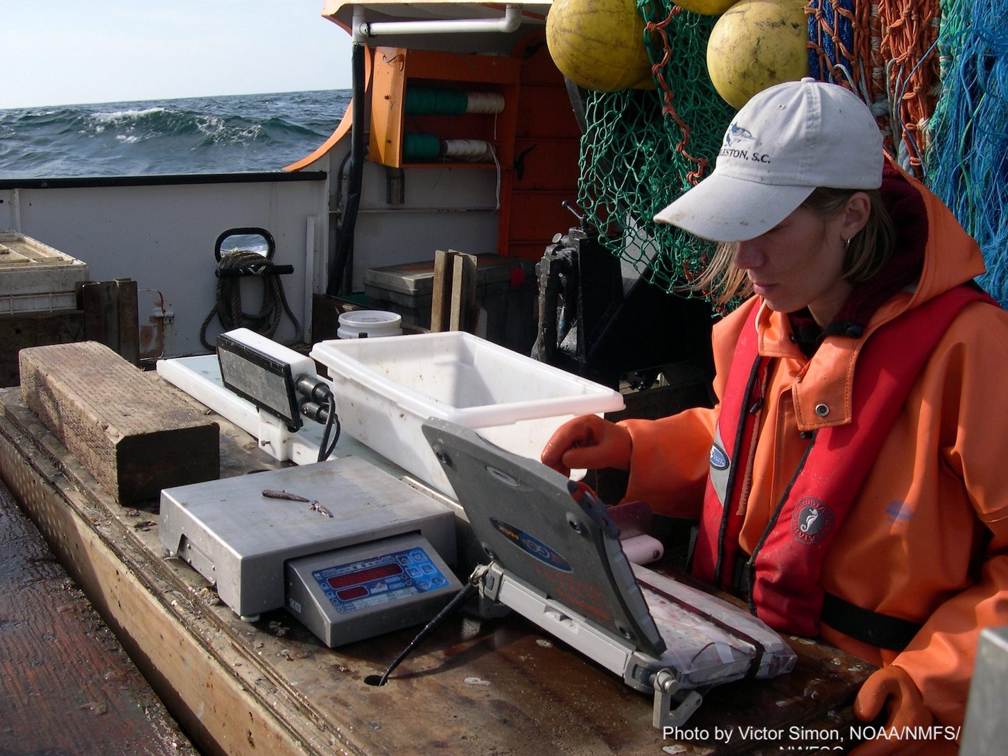 NOAA Fisheries Survey