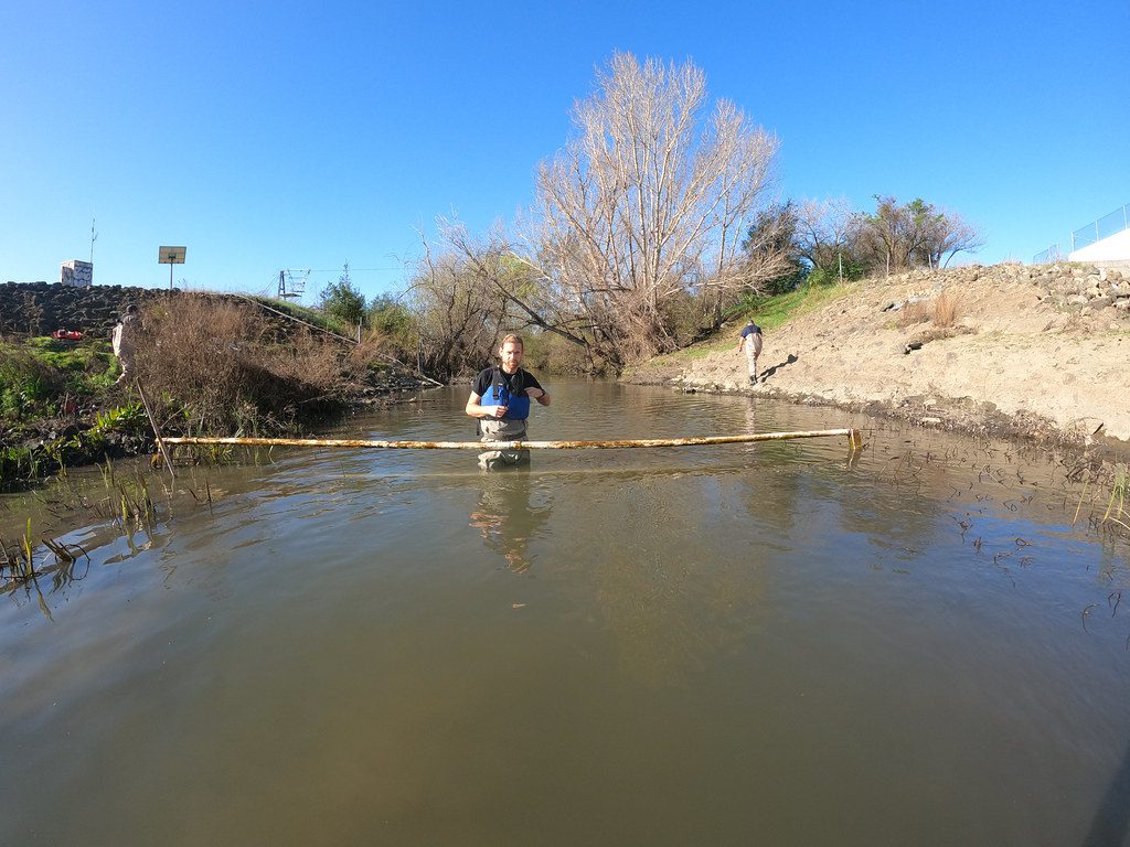 Coyote Creek PIT Tag Antenna