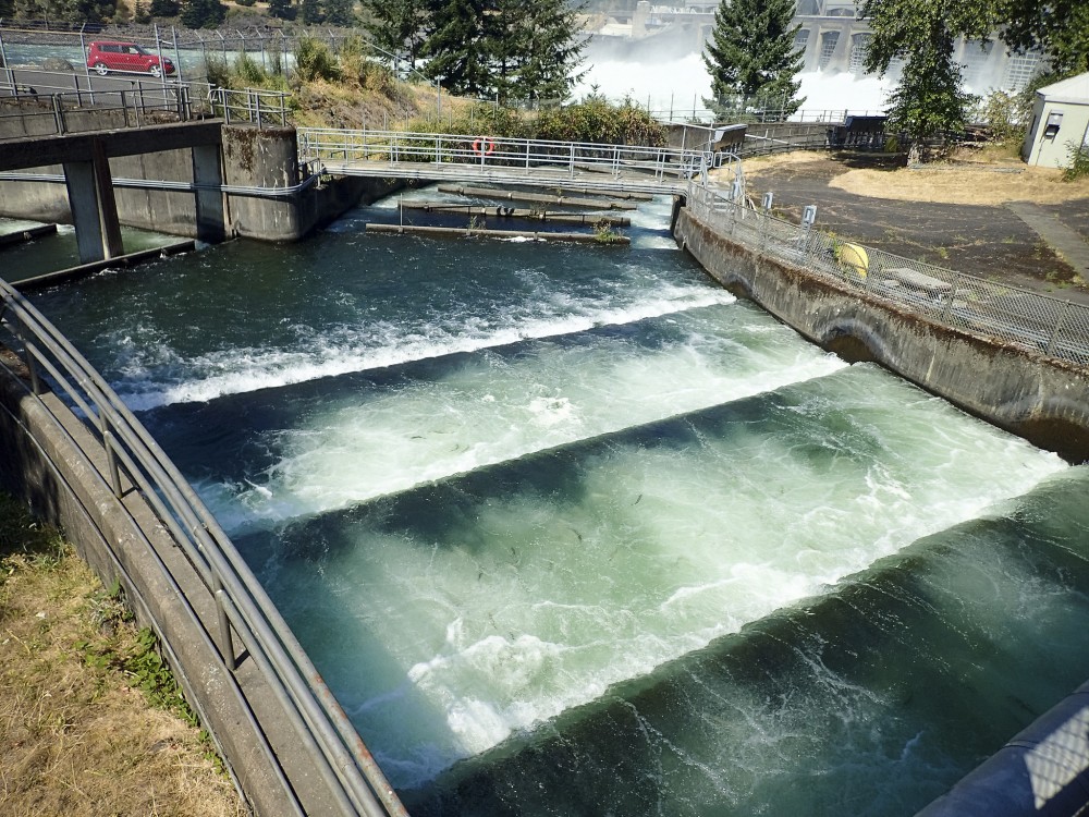 Fish ladder