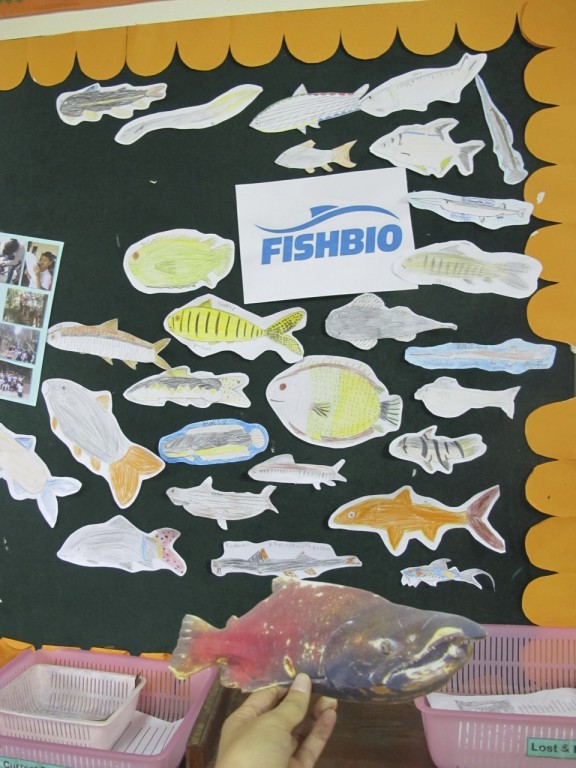 Stan the Salmon visits a school of Mekong River fish in Laos