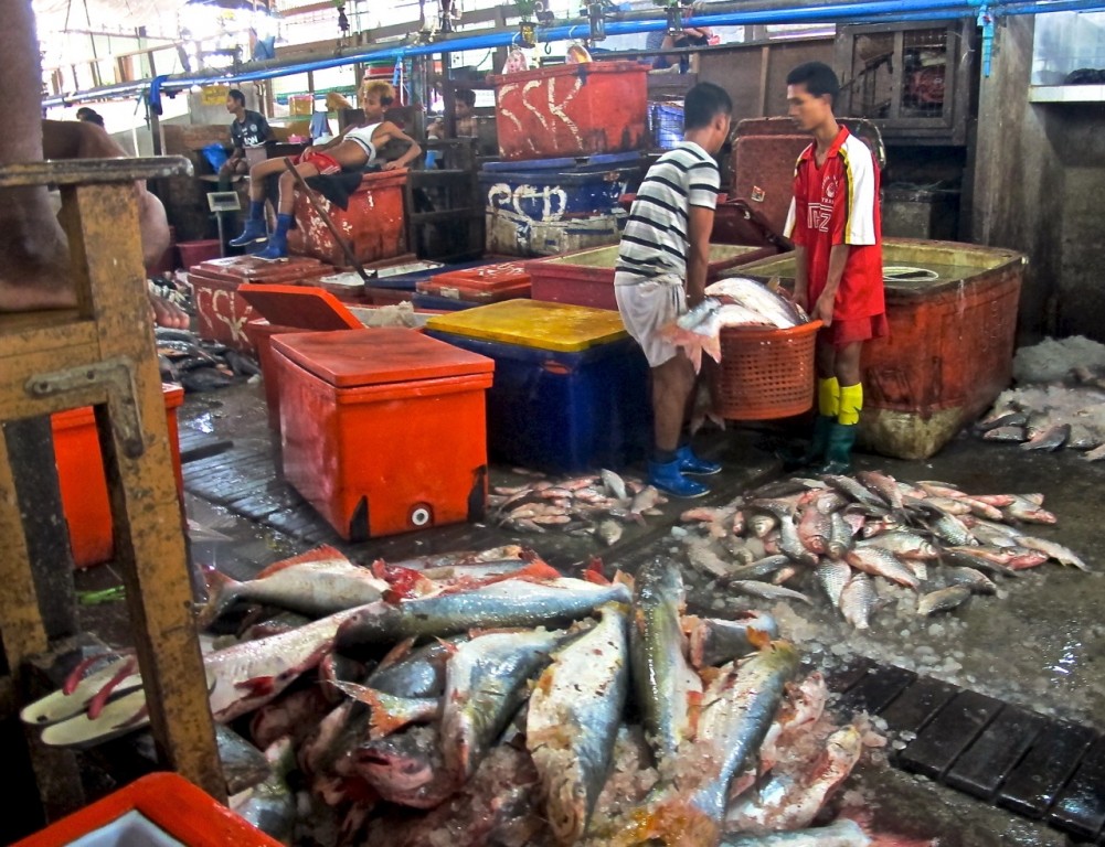 Seafood processing in Myanmar