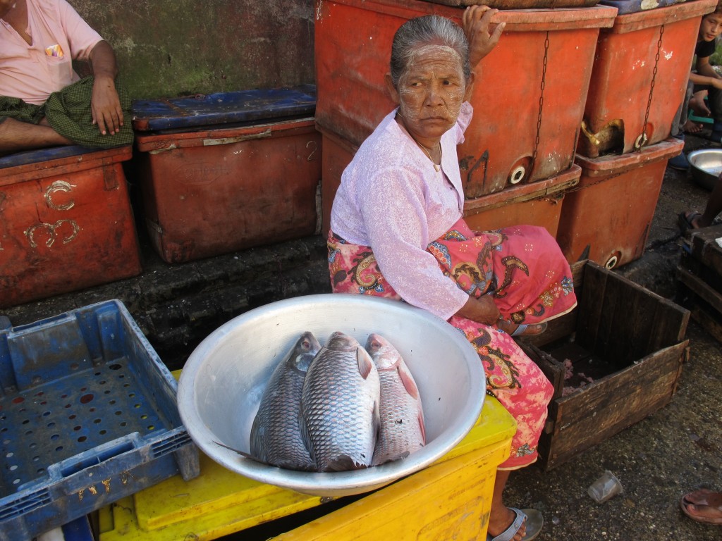 Myanmar woman with fish
